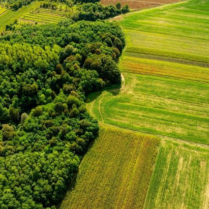 Conservation campaigns Conservation campaigns