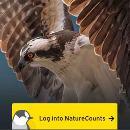 web tutorial videos web tutorial videos