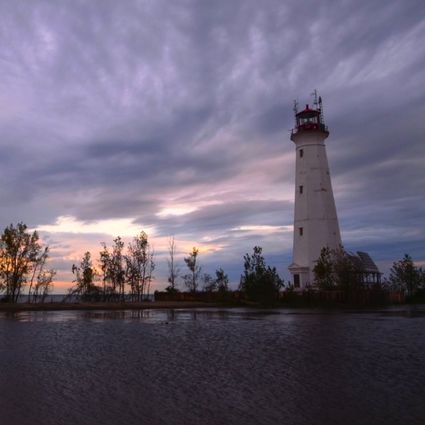 Nature footage licensing Nature footage licensing