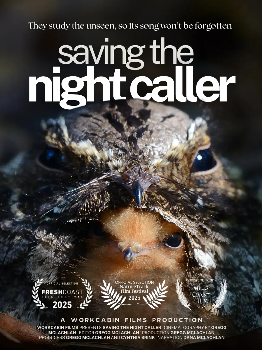 Saving The Night Caller Host a Screening