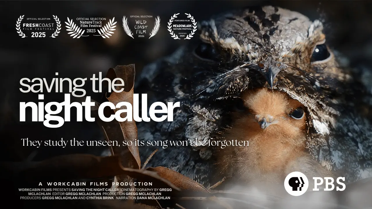 Audience attending a fundraising screening of Saving The Night Caller, a conservation documentary available for licensed nonprofit fundraising events across Canada and the United States.